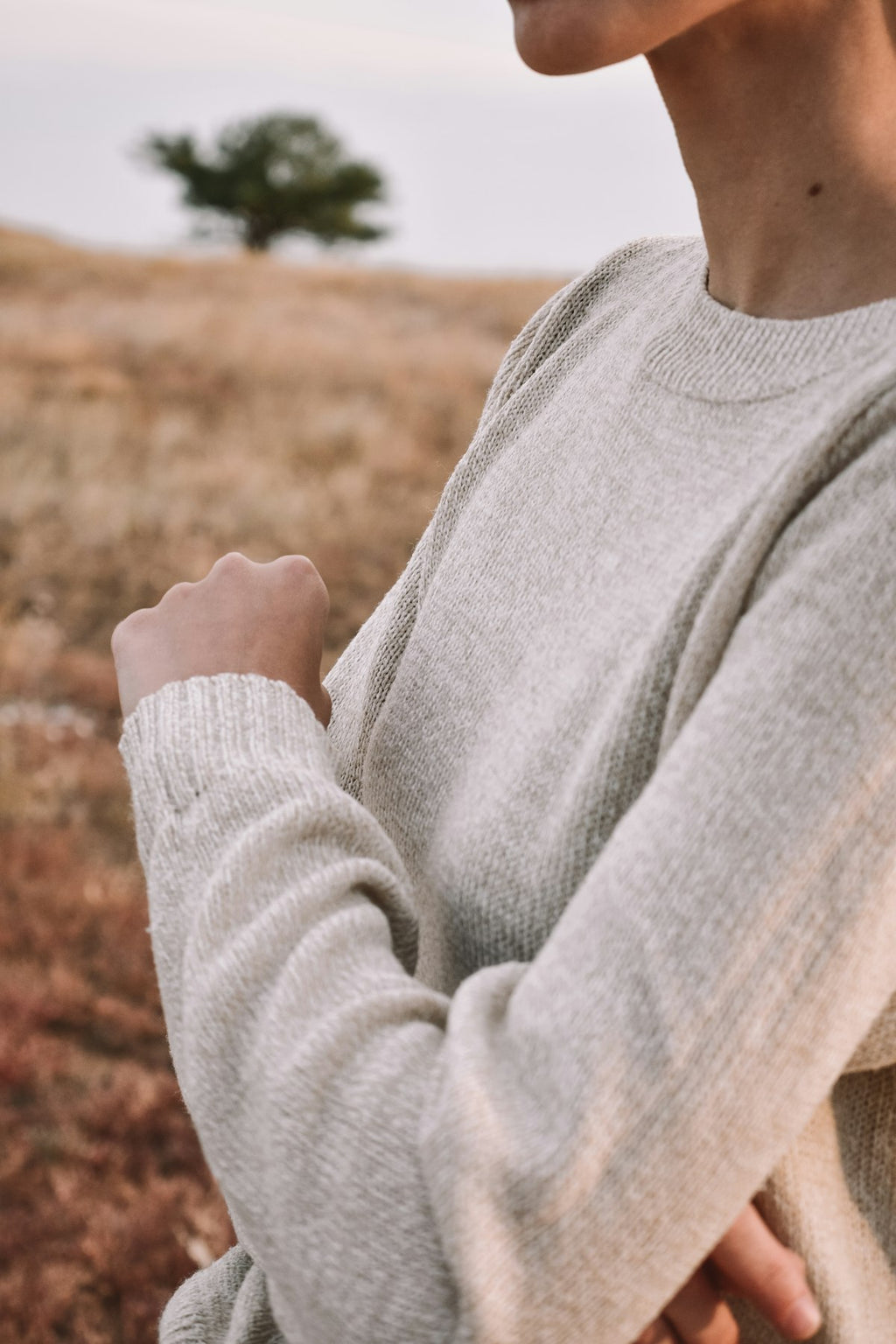 Calden Merino Roll Neck